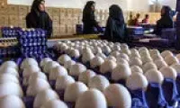قیمت تخم‌مرغ تغییر کرد گران‌تر شد؟
