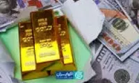 پالس اوراق به بازار طلا و ارز