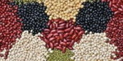 اعلام قیمت انواع حبوبات غیرشرکتی