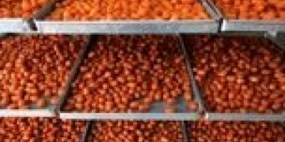 افزایش ۴۹۵۰ درصدی قیمت زولبیا و بامیه طی یک دهه وقتی یک شیرینی شاخص اقتصادی می شود!