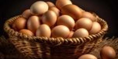 تغییر قیمت تخم مرغ برای ماه رمضان؟ قیمت جدید اعلام شد