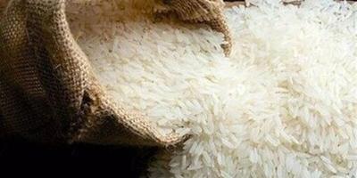 روایت یک واردکننده: برنج هست، ارز نیست!