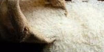 علت افزایش قیمت برنج در بازار مشخص شد