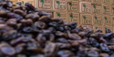 قیمت نجومی خرما در ماه رمضان؛ هر کیلو خرما چند؟