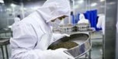 چین درحال تصاحب بازار خوراکی‌های لوکس جهان | تنوع جغرافیایی برگ برنده شد | مقابله فرانسه و ژاپن با رقیب جدید