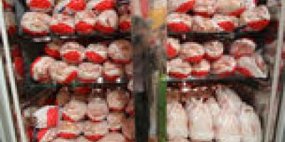 خیز هرمزگان برای صادرات گوشت سفید