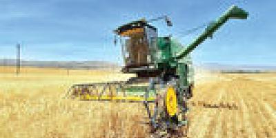 فرمول اقتصادی امنیت غذایی