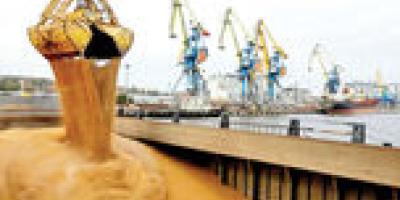 رکوردشکنی قیمت جهانی مواد غذایی