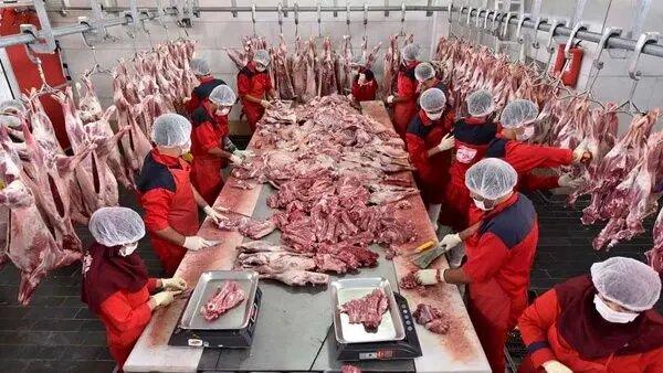 ایران با کشور همسایه وارد یک معامله عجیب شدواردات گوشت از پاکستان به ازای صادرات این کالا